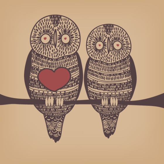 Loving Owls